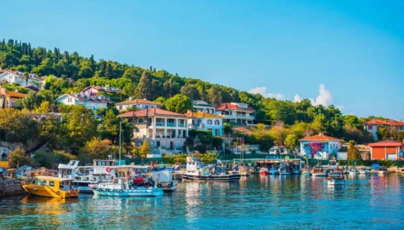 Daily Princes’ Island Tour from Istanbul