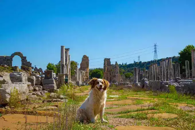 Daily Perge, Aspendos, and Side Tour