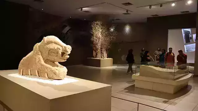 Gobeklitepe Day Tour from Istanbul