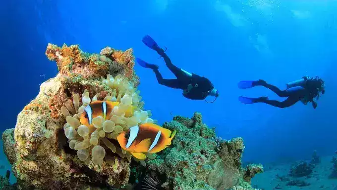 Turkey Diving Tours