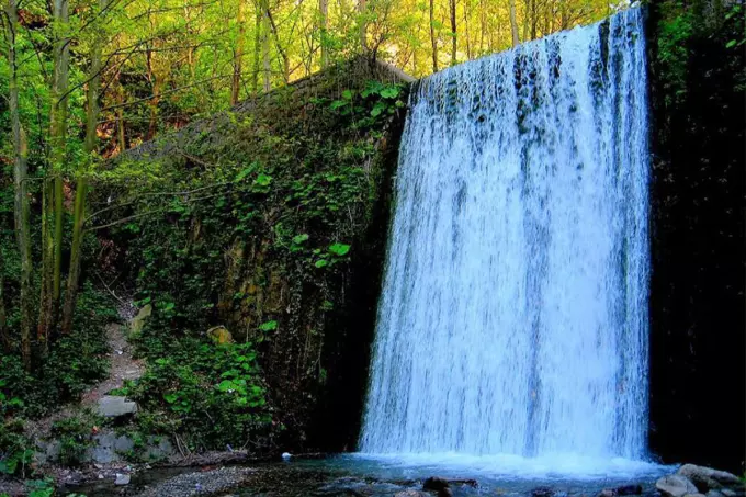 Daily Sapanca and Masukiye Tour from Istanbul