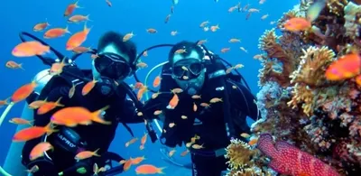 Antalya Diving Tour