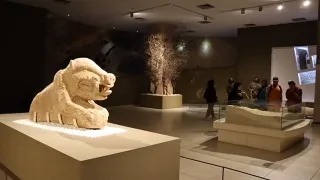 Gobeklitepe Day Tour from Istanbul