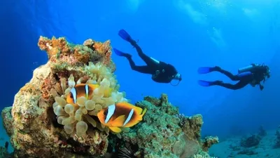 Antalya Diving Tour