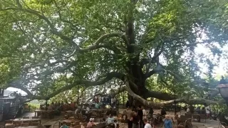 8 Days Istanbul, Bursa, and Antalya Islamic Tour Package from Istanbul