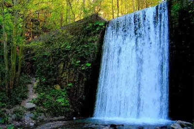 Daily Sapanca and Masukiye Tour from Istanbul